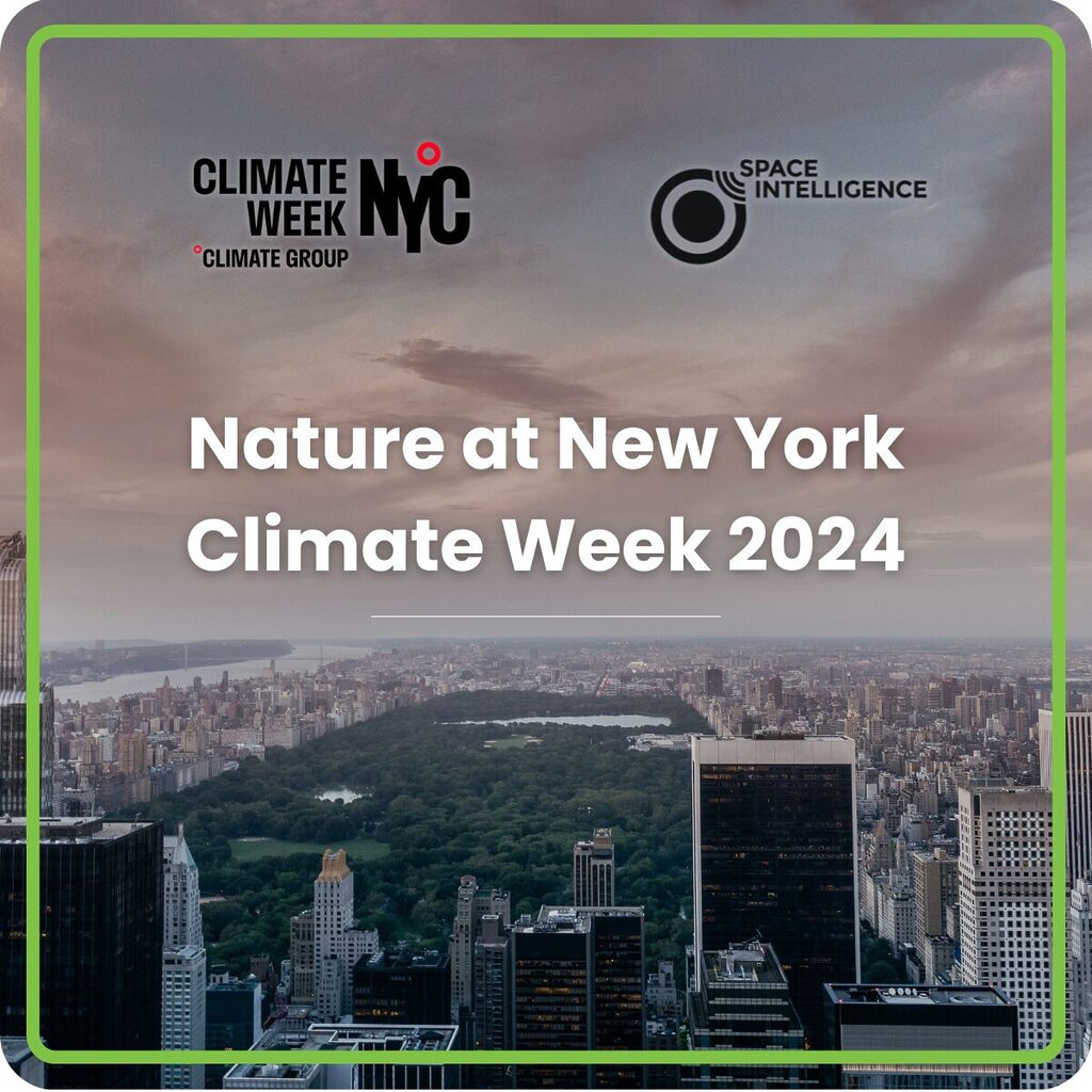 Nature at New York Climate Week 2024