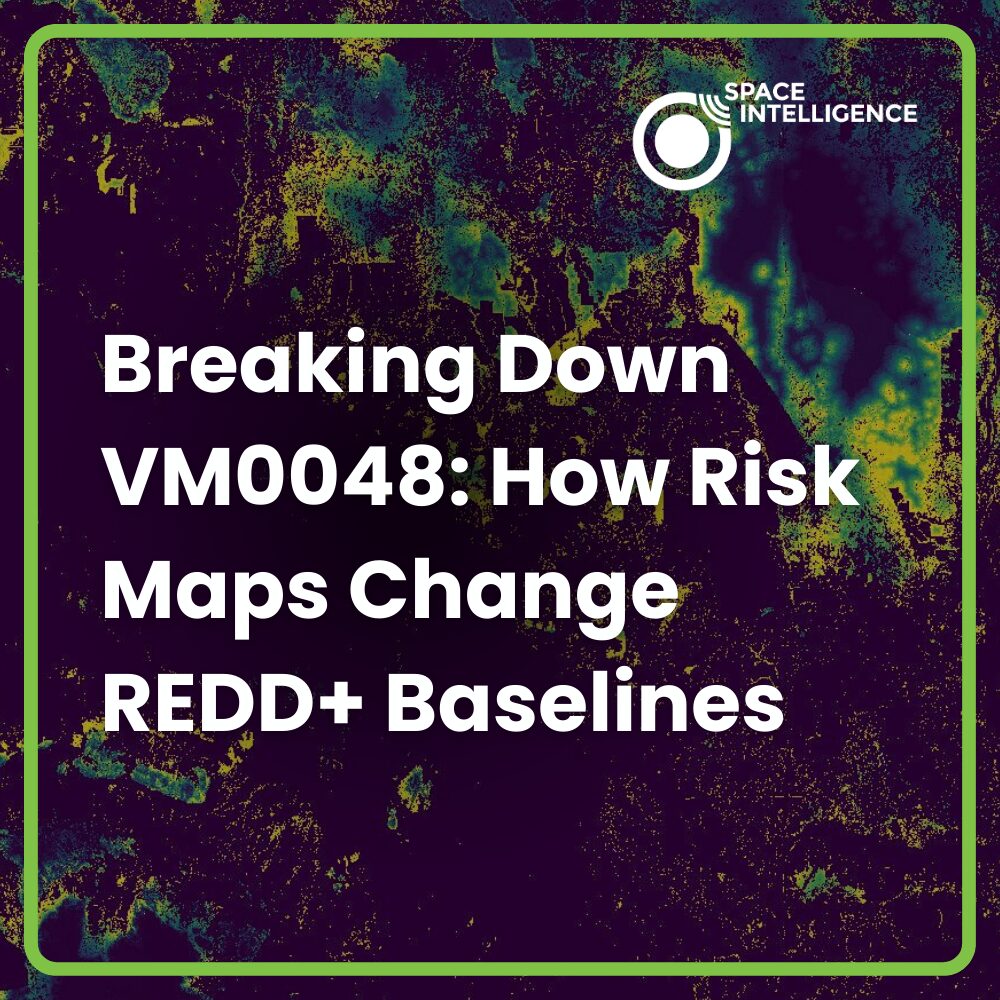 Breaking Down VM0048: How Risk Maps Change REDD+ Baselines